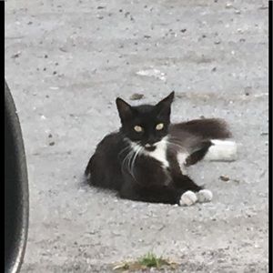 Meet your Posher, Maria antonella